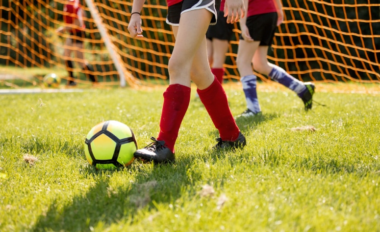The MIAA will hold its tournament this month to crown a girls Division 1 champion.