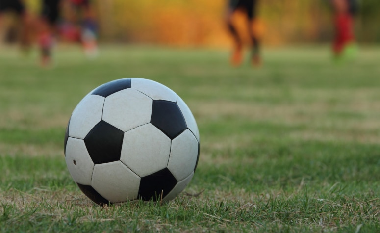Soccer Ball on the grass